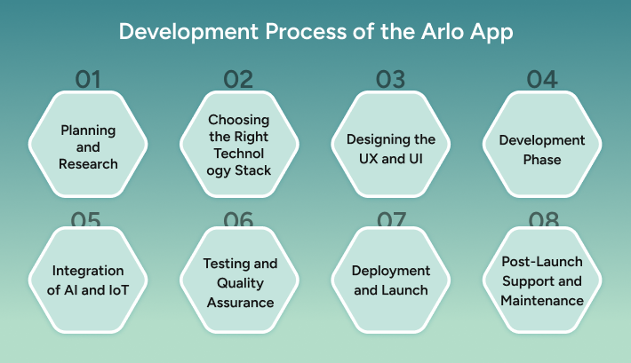 development process