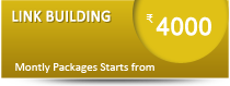 Link Building Packages